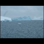 Antarctique Icebergs/DSCF3794