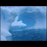 Antarctique/45