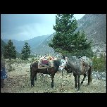 Chine/10 Chine Horse trekking Songpan IMAG2921
