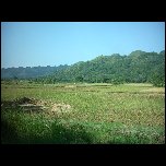 Indonesie/Indonesie Java 10 Indonesie Vers Yogyakarta IMAG0441