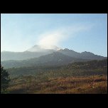 Indonesie/Indonesie Java 18 Indonesie Plantation Ijen indonesie ijen plantation 100 1675