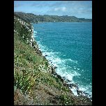 Nouvelle Zelande/19 New Zealand Catlins Nuggets Point IMAG3658