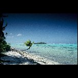 Polynesie Francaise/paysage