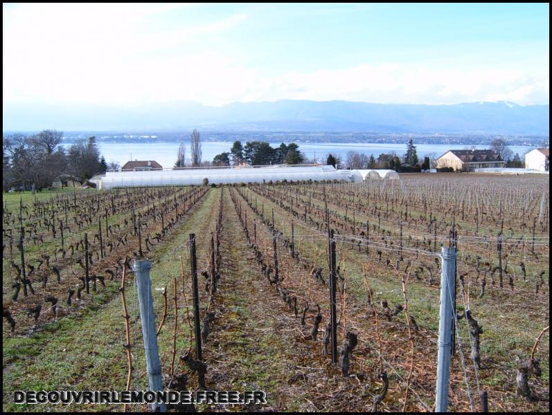 2005 03 05 Velo Suisse/images/S3700240	