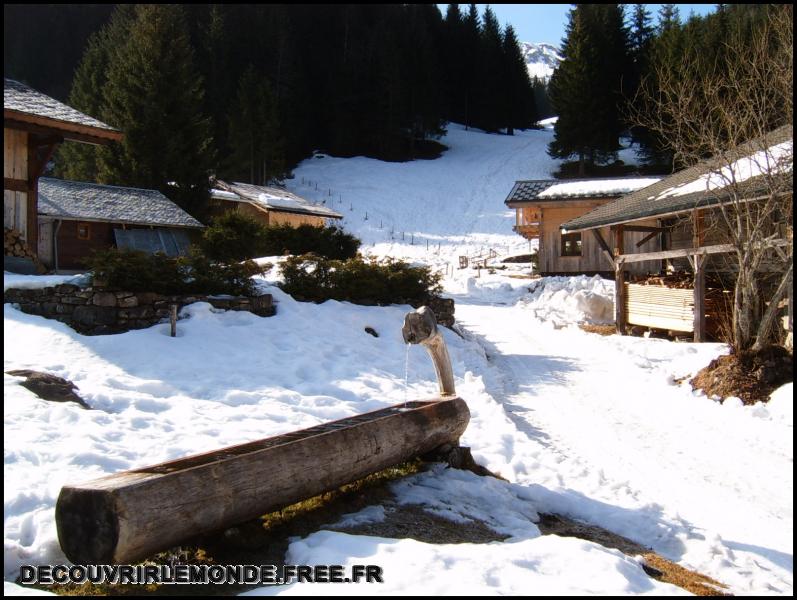 2005 05 05 Raquettes aux Gets/images/S3700153	