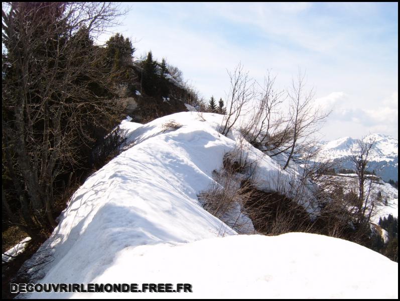 2005 05 05 Raquettes aux Gets/images/S3700203	