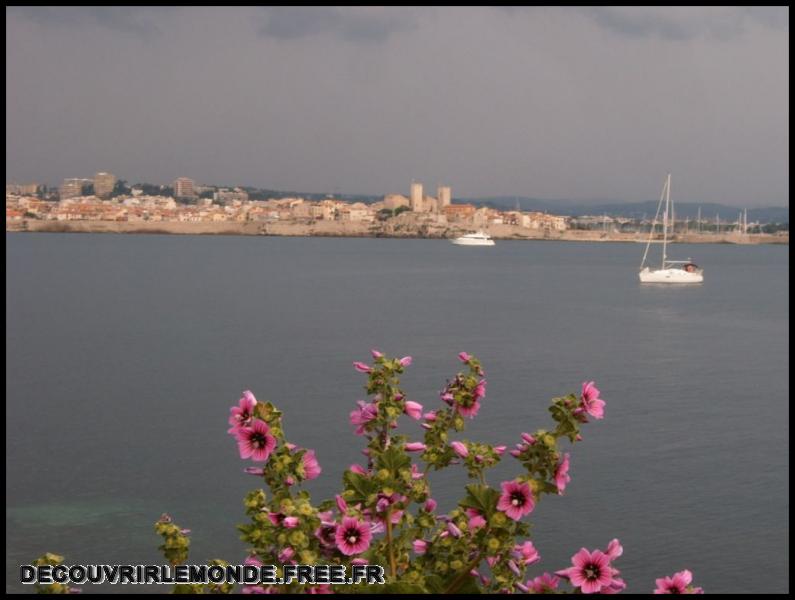 2005 05 22 St Jean Cap Ferrat Antibes/images/S3700409	