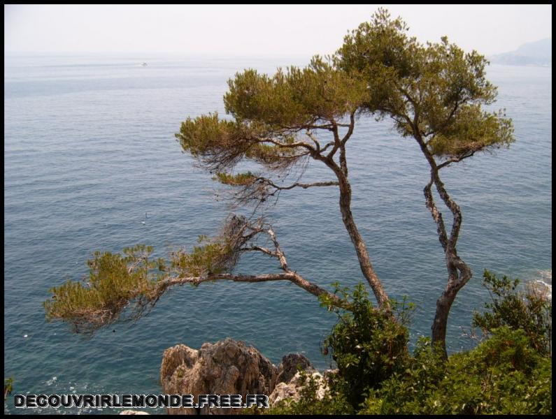2005 06 25 Roquebrune Menton Festival Livre Nice/images/S3700496	