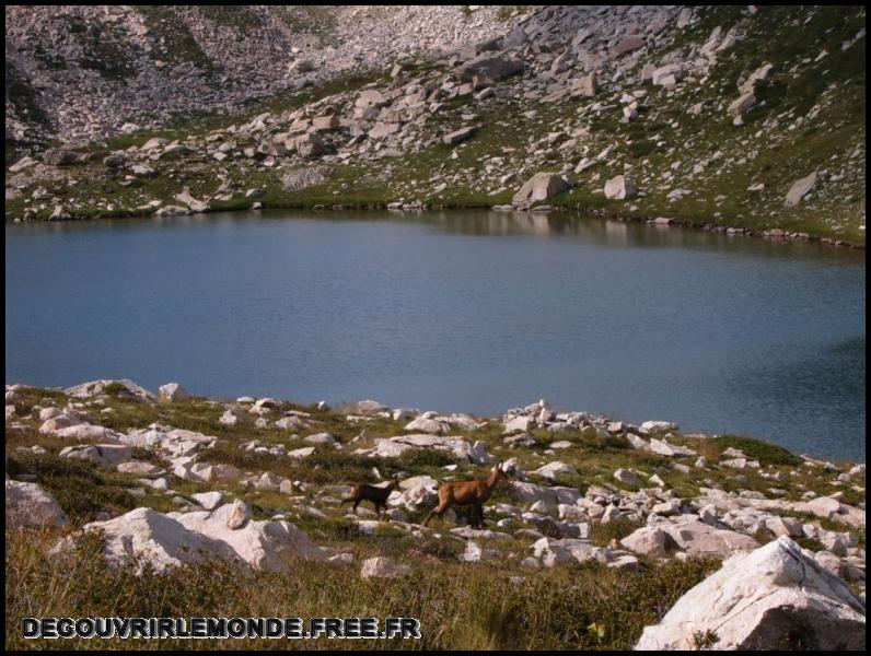 2005 07 30 31 Randonnees Italie Lac negre col fremamorte prefouns/images/S3700283	