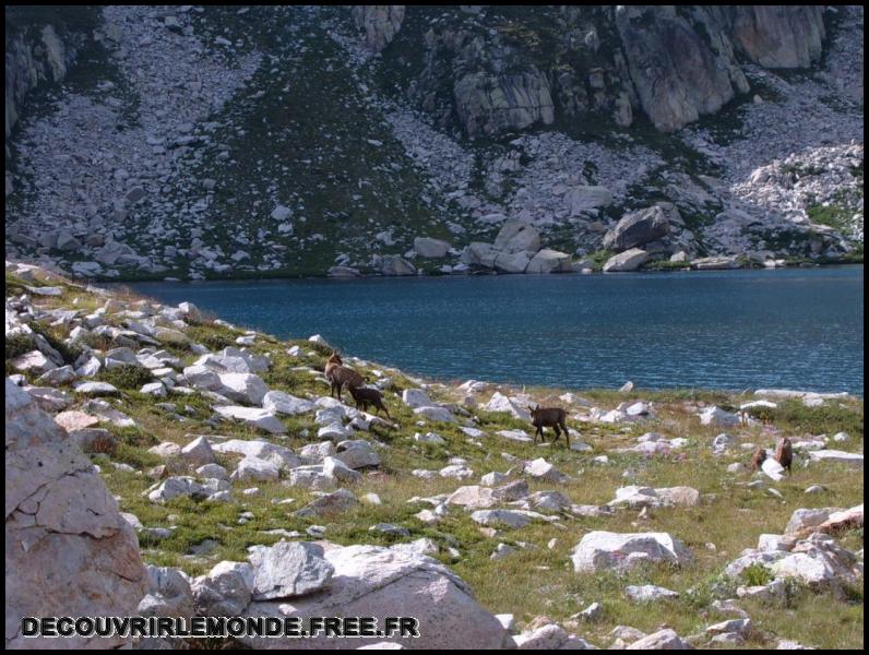 2005 07 30 31 Randonnees Italie Lac negre col fremamorte prefouns/images/S3700284	