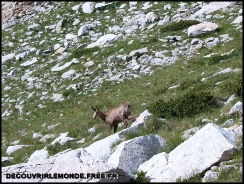 2005 07 30 31 Randonnees Italie Lac negre col fremamorte prefouns/images/S3700291	