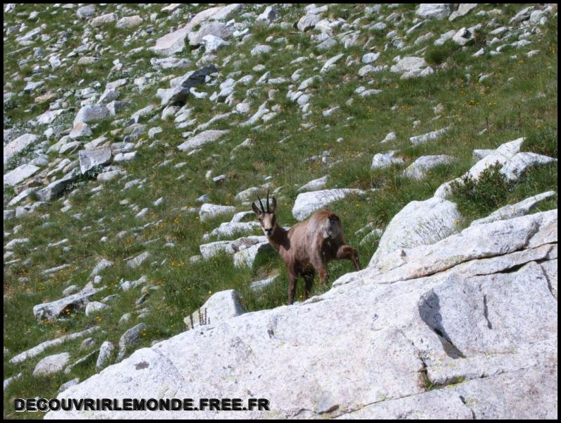 2005 07 30 31 Randonnees Italie Lac negre col fremamorte prefouns/images/S3700292	