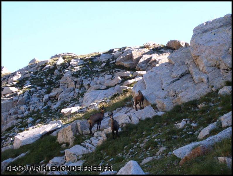 2005 07 30 31 Randonnees Italie Lac negre col fremamorte prefouns/images/S3700306	