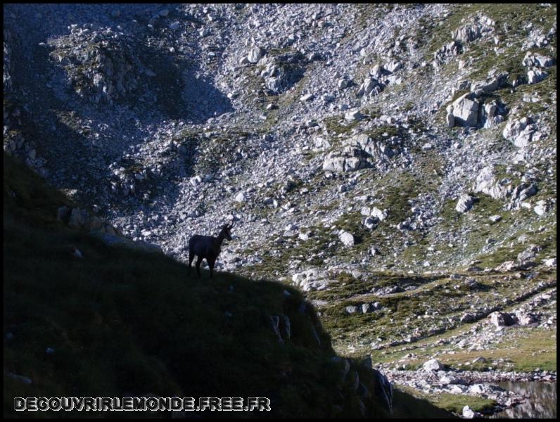 2005 07 30 31 Randonnees Italie Lac negre col fremamorte prefouns/images/S3700312	