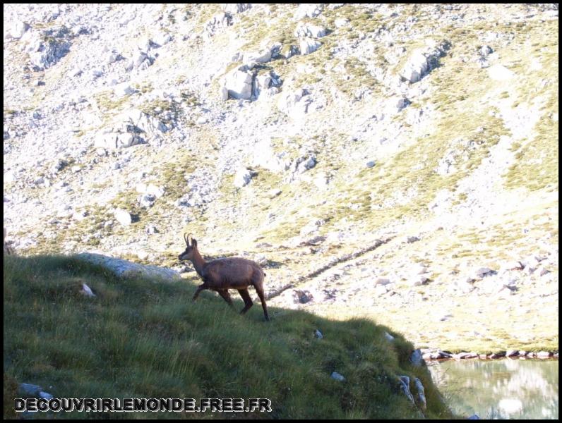 2005 07 30 31 Randonnees Italie Lac negre col fremamorte prefouns/images/S3700313	