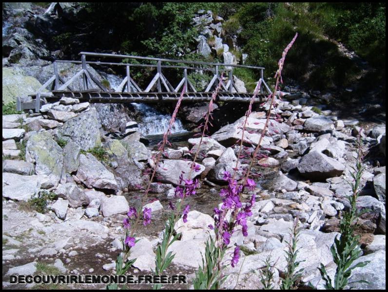 2005 07 30 31 Randonnees Italie Lac negre col fremamorte prefouns/images/S3700344	