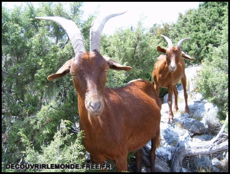2005 08 06 07 WE Gorges Verdon/images/S3700175	