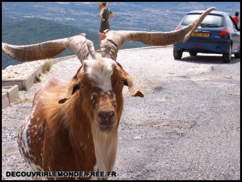 2005 08 06 07 WE Gorges Verdon/images/S3700178	