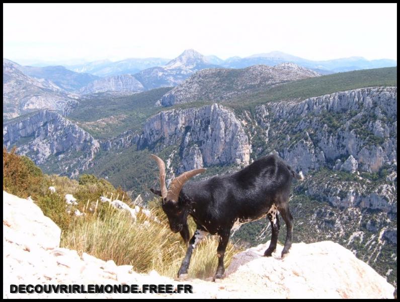 2005 08 06 07 WE Gorges Verdon/images/S3700180	