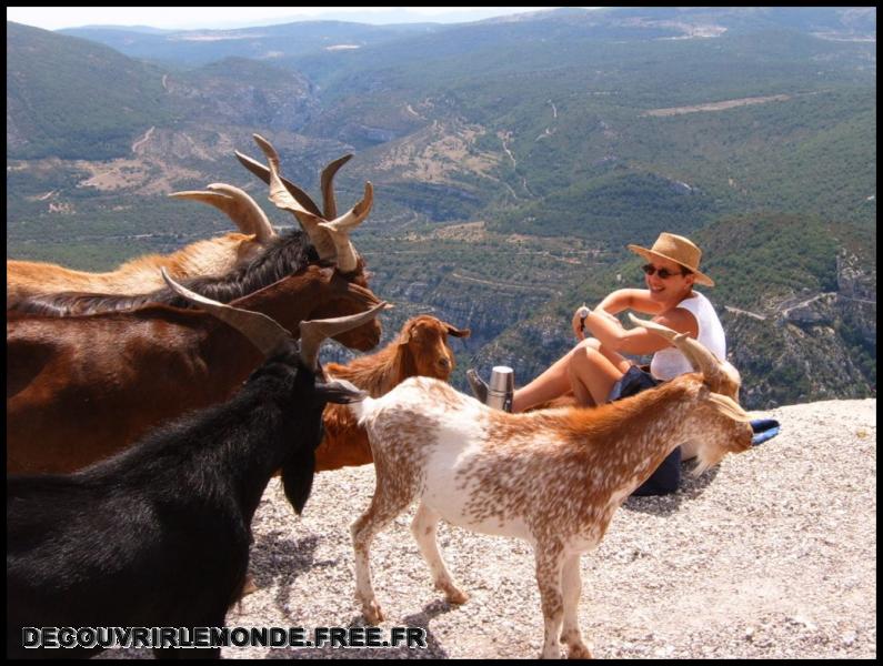 2005 08 06 07 WE Gorges Verdon/images/S3700182	