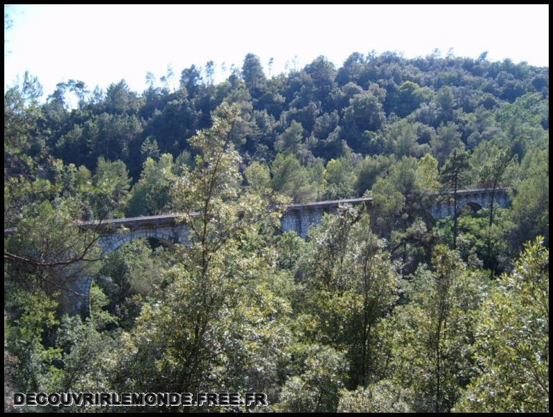 2005 08 14 Recherche de cistes/images/S3700173	