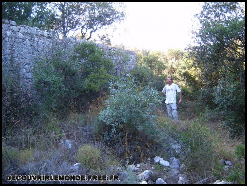 2005 08 14 Recherche de cistes/images/S3700182	