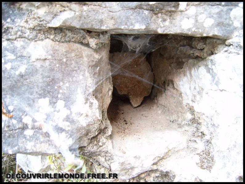 2005 08 14 Recherche de cistes/images/S3700186	