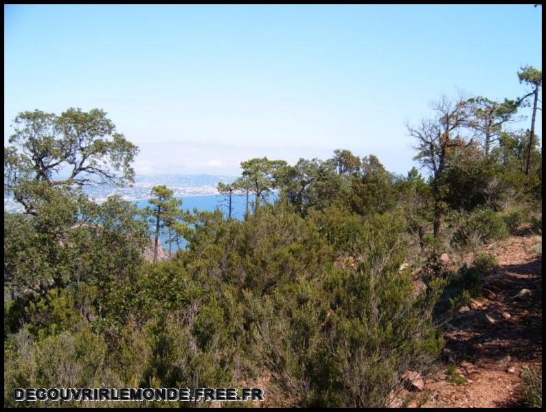 2005 09 10 Esterel les Grosses Grues/images/S3700211	