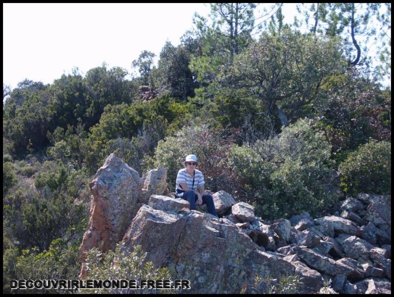 2005 09 10 Esterel les Grosses Grues/images/S3700241	