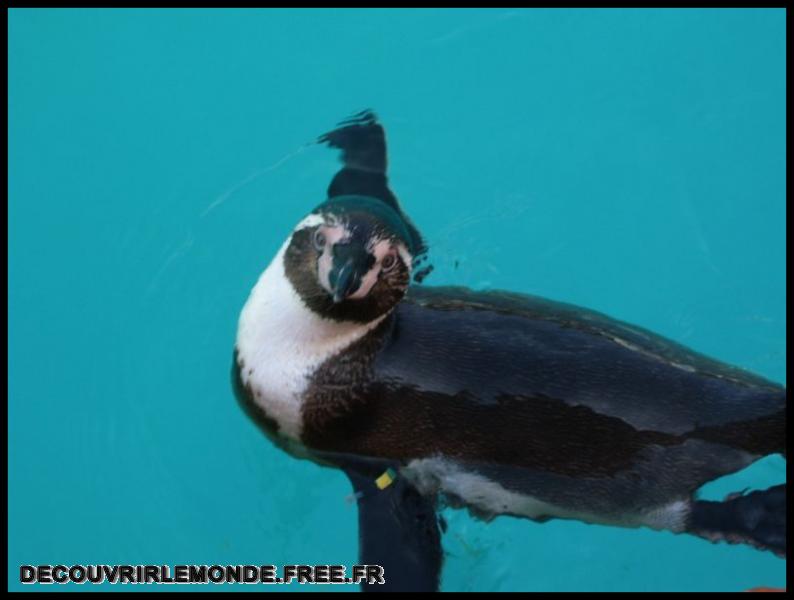 2005 10 01 Marineland/images/S3700104	