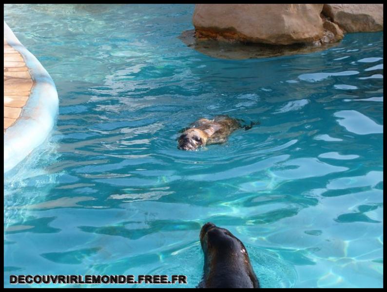 2005 10 01 Marineland/images/S3700106	