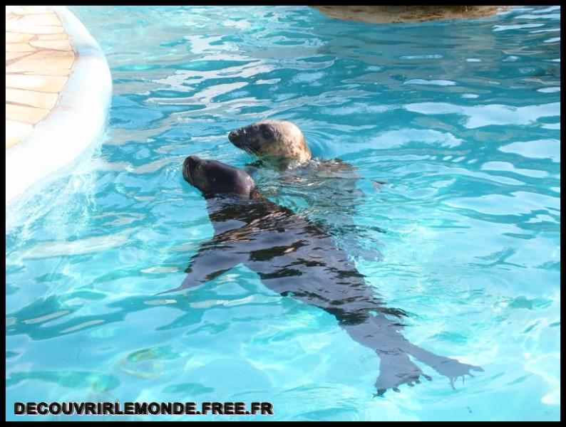 2005 10 01 Marineland/images/S3700107	