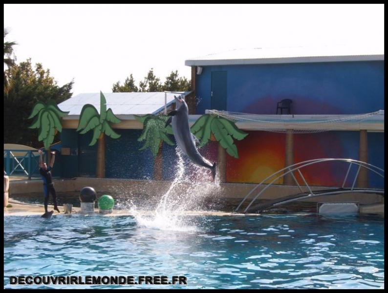 2005 10 01 Marineland/images/S3700121	