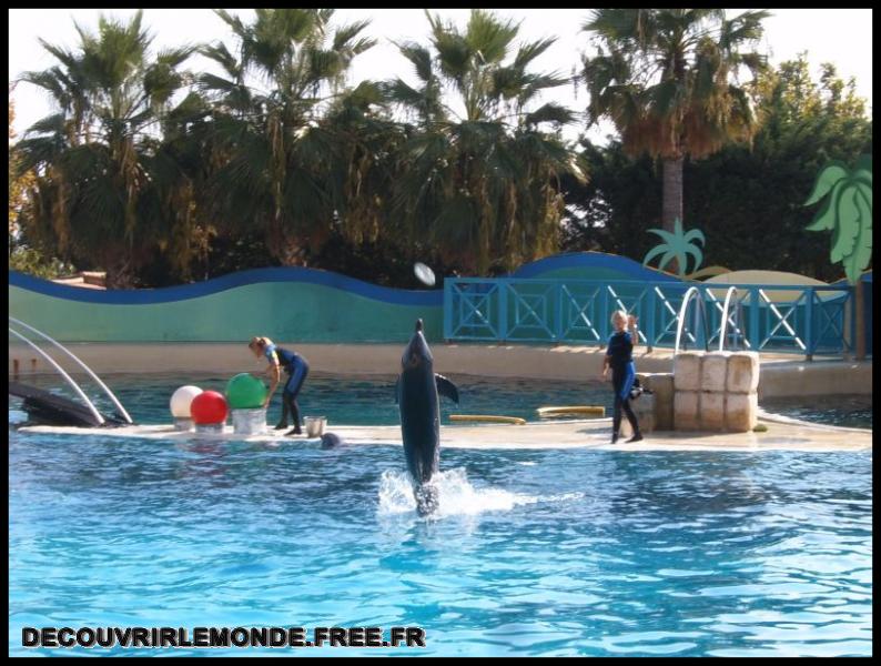 2005 10 01 Marineland/images/S3700123	