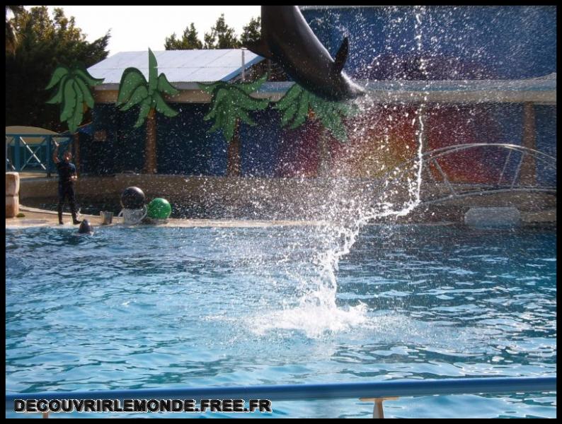 2005 10 01 Marineland/images/S3700127	