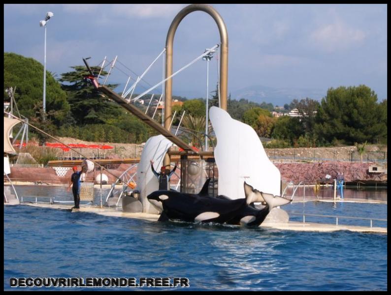 2005 10 01 Marineland/images/S3700137	