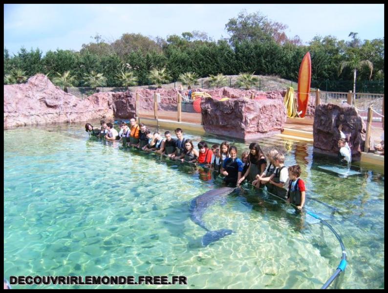 2005 10 01 Marineland/images/S3700147	