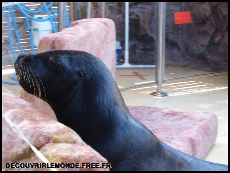 2005 10 01 Marineland/images/S3700149	