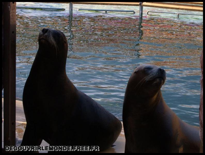 2005 10 01 Marineland/images/S3700152	