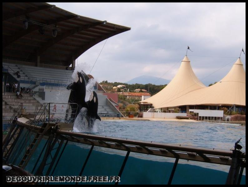 2005 10 01 Marineland/images/S3700160	