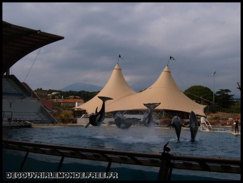 2005 10 01 Marineland/images/S3700163	