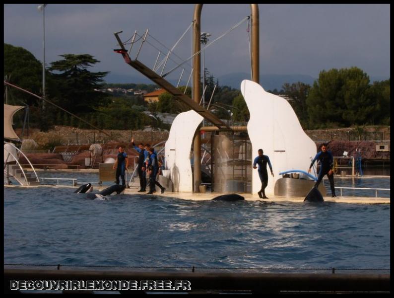 2005 10 01 Marineland/images/S3700164	