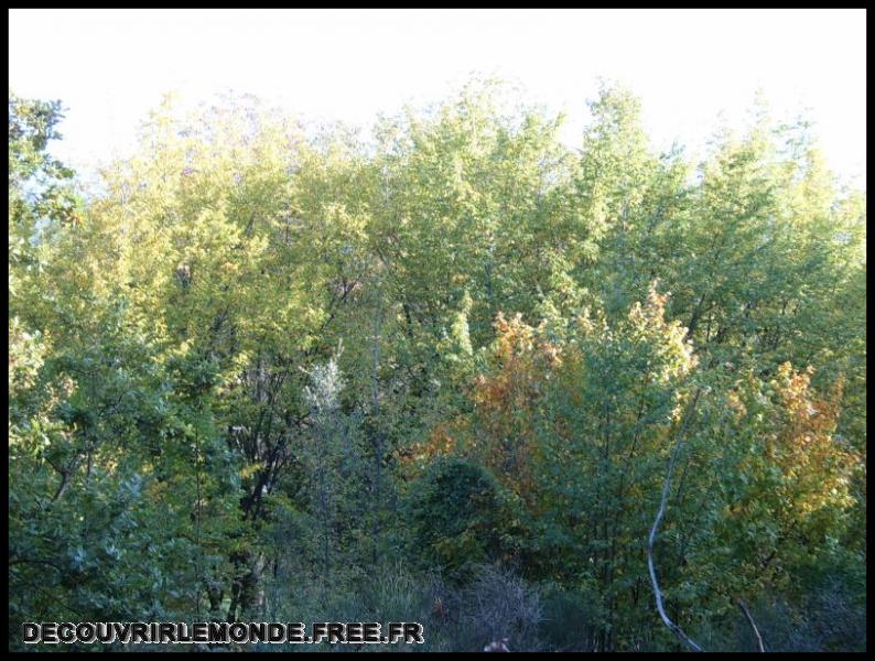 2005 10 16 Tourette Le Caire Le Bar/images/S3700140	