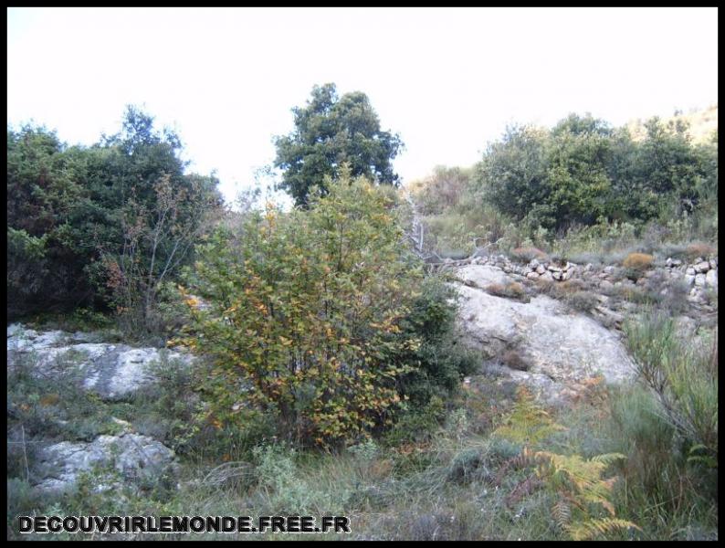 2005 10 16 Tourette Le Caire Le Bar/images/S3700143	