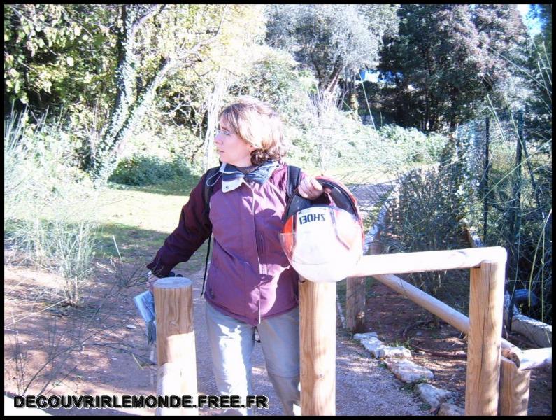 2005 12 10 Chateauneuf Grasse Valbonne/images/S3700044	