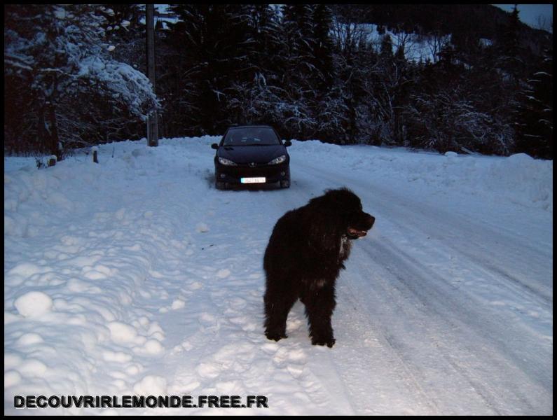 2006 01 01 Les Gets Praz de Lys/images/S3700272	