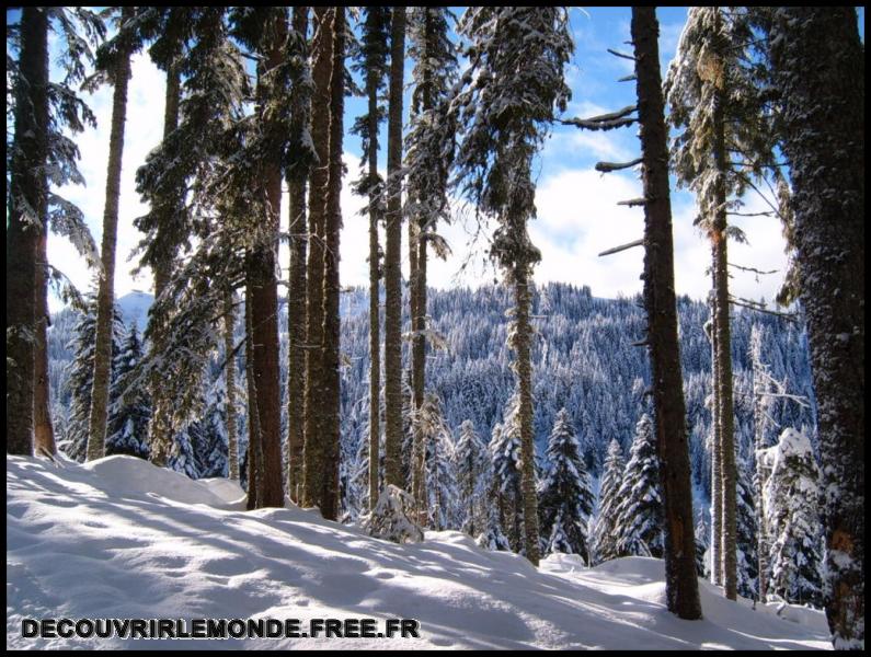 2006 01 01 Les Gets Praz de Lys/images/S3700351	