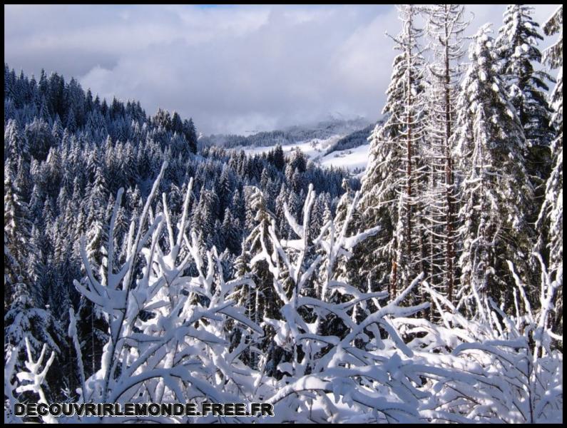 2006 01 01 Les Gets Praz de Lys/images/S3700352	
