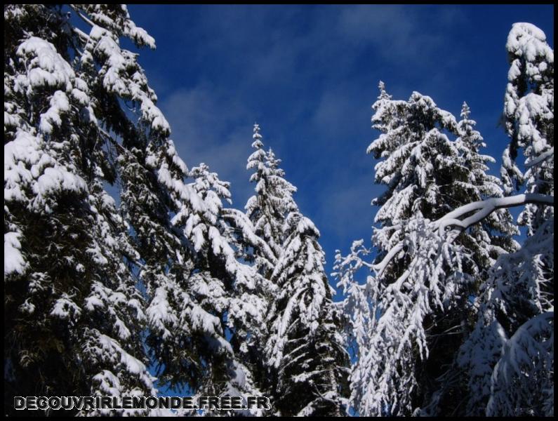 2006 01 01 Les Gets Praz de Lys/images/S3700353	