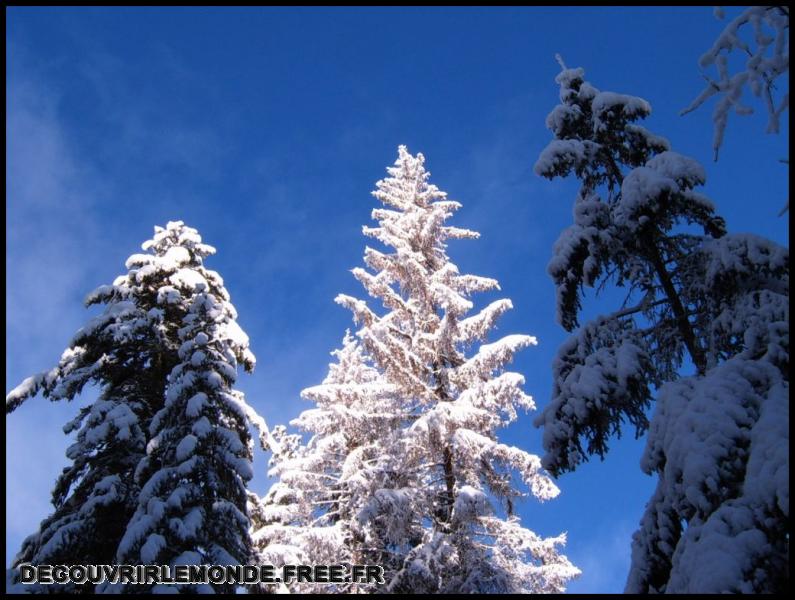 2006 01 01 Les Gets Praz de Lys/images/S3700356	